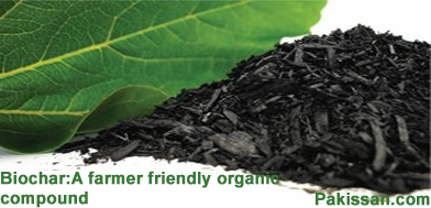 Biochar: A farmer friendly organic compound :-Pakissan.com