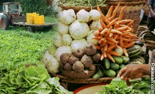 Improving the marketing system of vegetables 