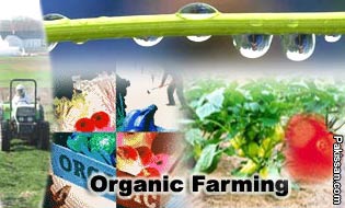 Organic matter status of Pakistan soils and its management
