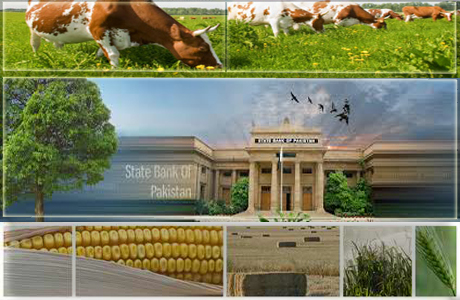 Uneven agriculture credit distribution :- Pakissan.com
