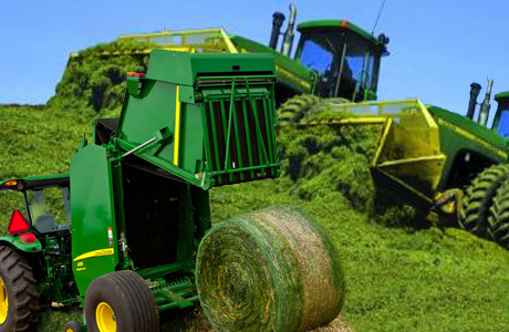 Silage & Hay, nutritional importance and selection for Herd :- Pakissan.com