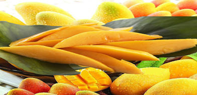 Mango Export from Pakistan and WTO Regime on Food & Agriculture : Pakissan.com