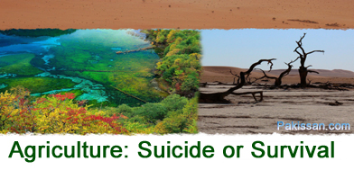 Agriculture: Suicide or Survival :-Pakissan.com