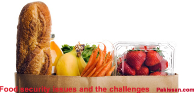 Food security issues and the challenges:-Pakissan.com