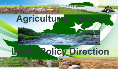 Agricultural sector lacks policy direction:-Pakissan.com