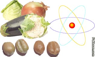 Food irradiation, Health risks, Misleading consumers, Misuse of the technology