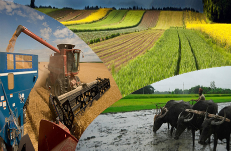 Outsourcing agricultural extension services:-Pakissan.com