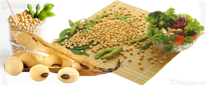 Pakistan expands soybean imports :- Pakissan.com