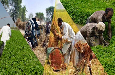 Stop ignoring small-scale farmers :- Pakissan.com