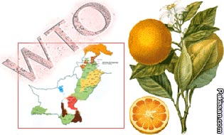 WTO and Pakistani citrus exports
