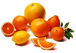 WTO and Pakistani citrus exports