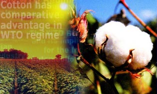 Cotton has comparative advantage in WTO regime