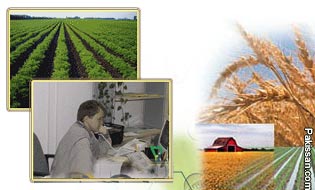 Crop yields from new technologies 