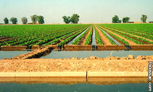 Water scarcity to hit farm production