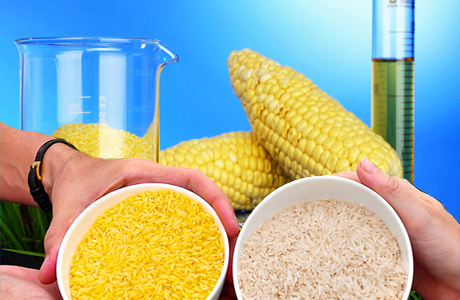 GM crops criticism unscientific :-Pakissan.com