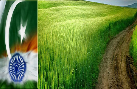 Agriculture subsidies: Pakistan versus India:-Pakissan.com