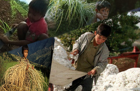 Child Labour in Cotton Growing Districts Of Pakistan:-Pakissan.com