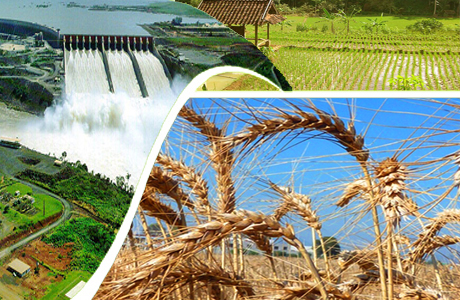 Dams vital for food security:-Pakissan.com