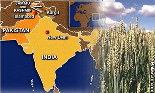 What ails Punjab's agriculture 
